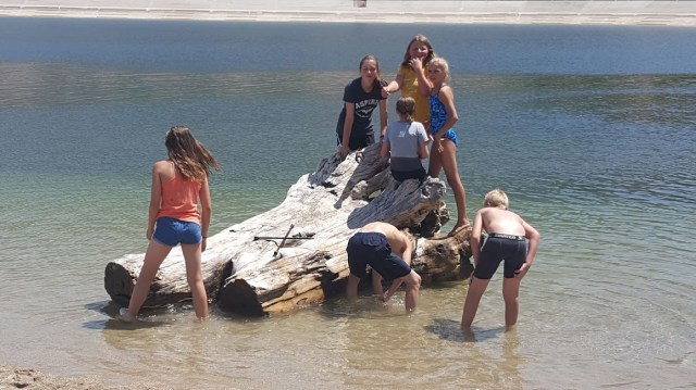 moving log summer 2018.JPG