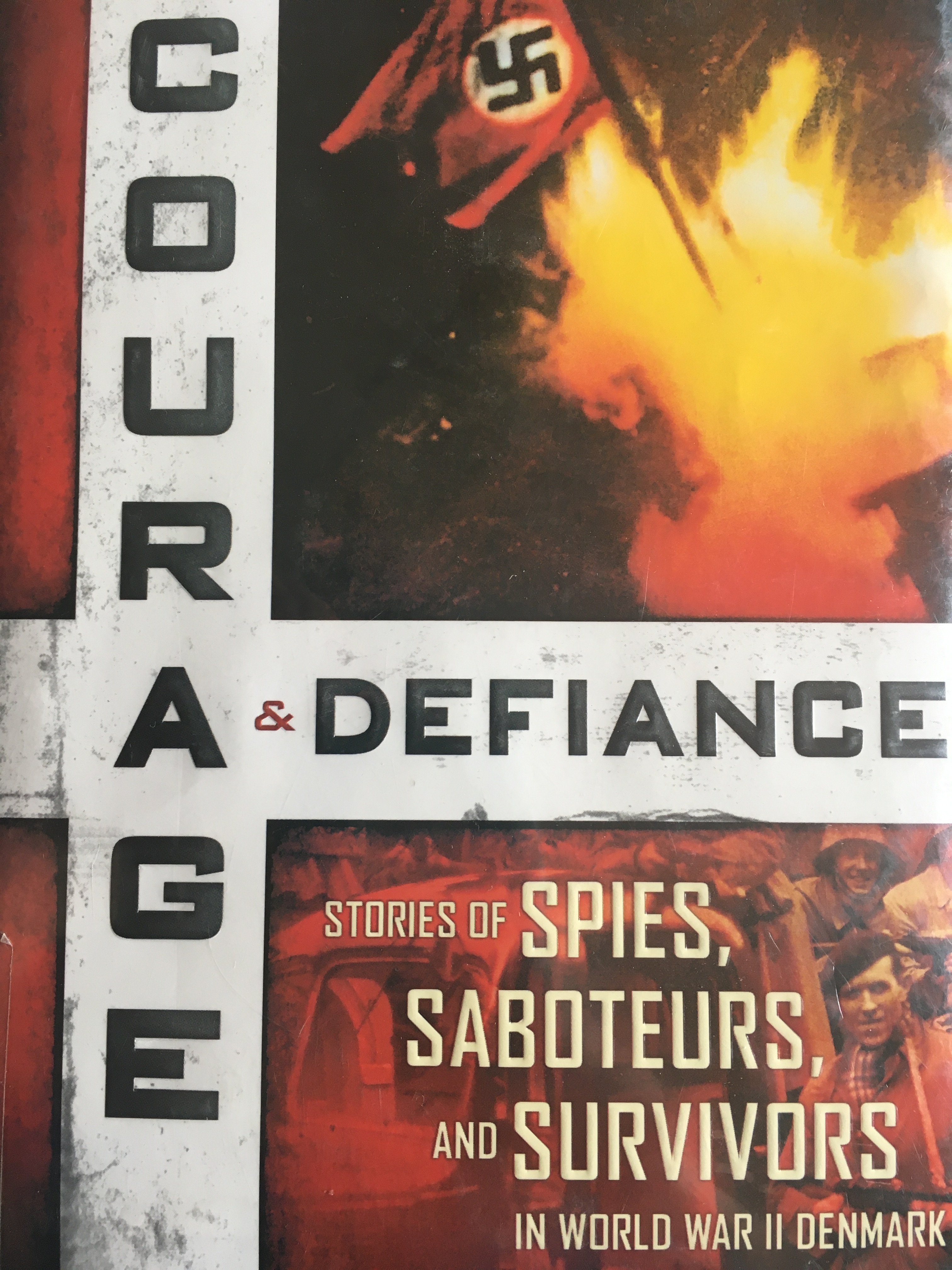 courageanddefiance