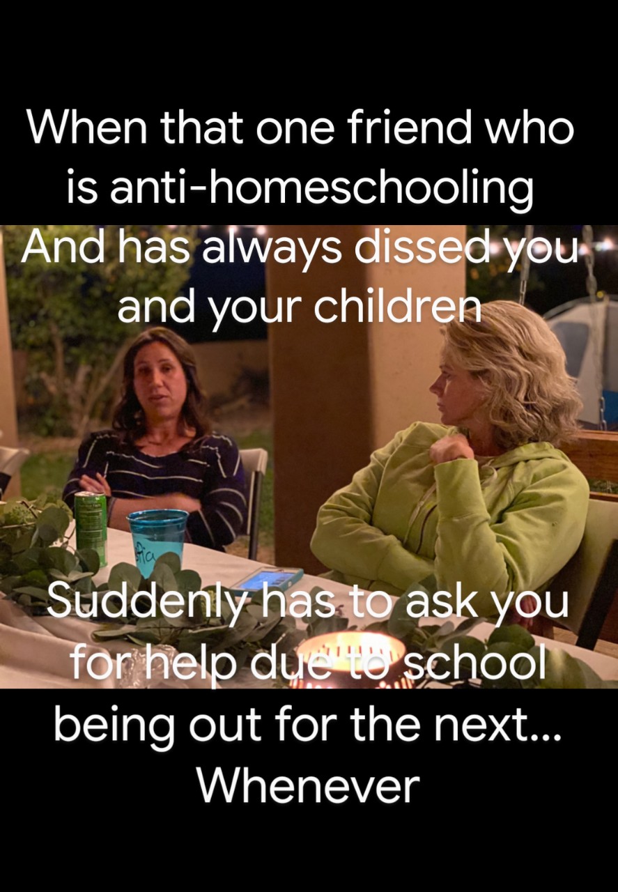 twohomeschoolmoms