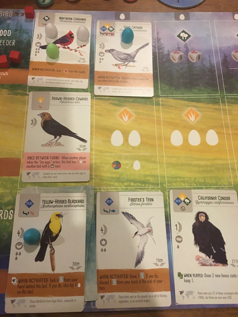 This image has an empty alt attribute; its file name is img_0065.jpg