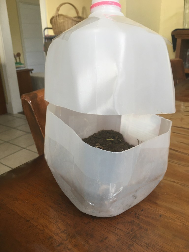 This image has an empty alt attribute; its file name is img_0643.jpg